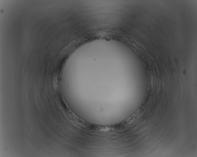 X0000074260611200608250902