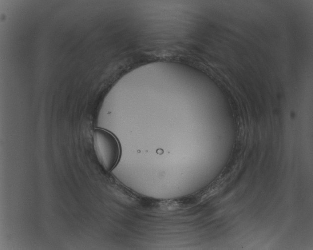 X0000074260612200608250902