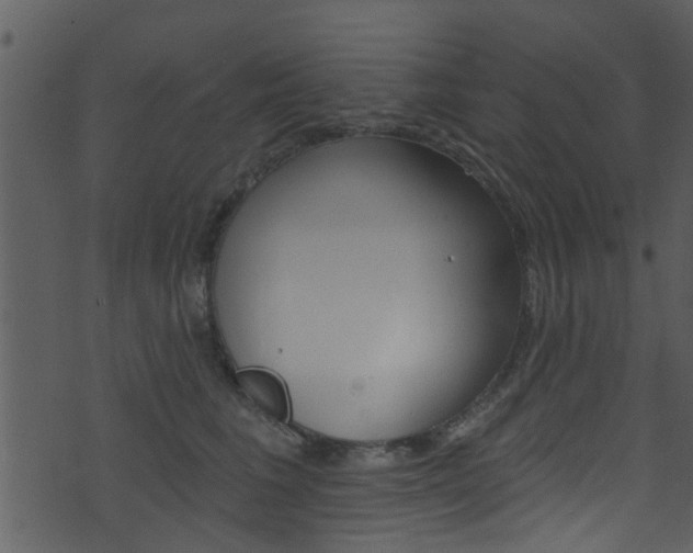 X0000074260613200608250902