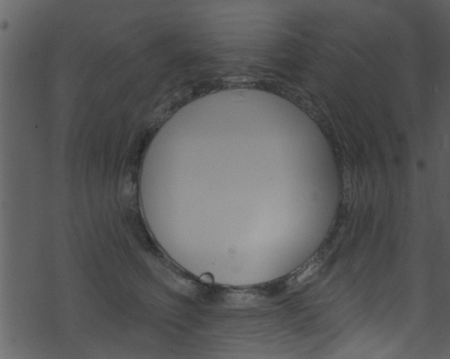 X0000074260614200608250902