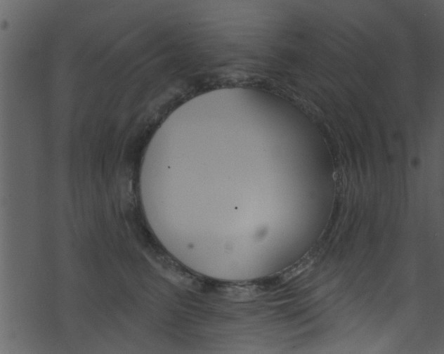 X0000074260615200608250902