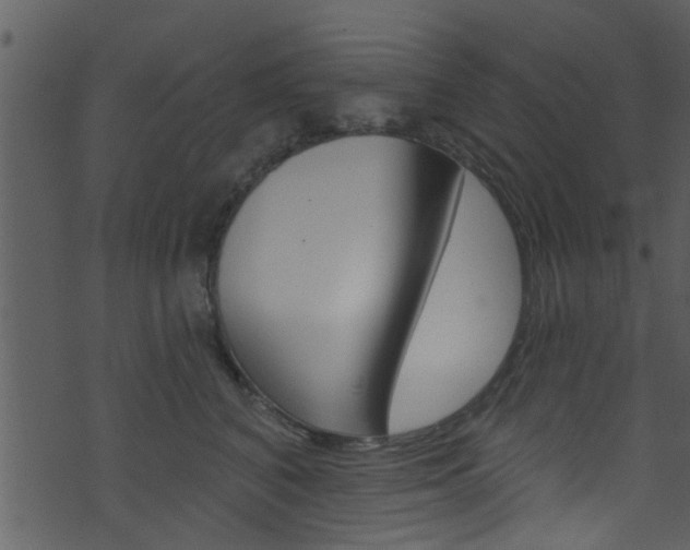 X0000074260616200608250902