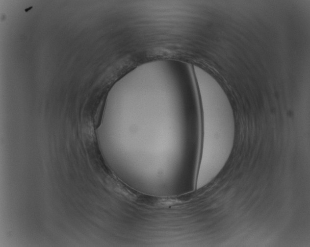 X0000074260617200608250902