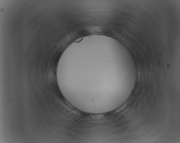 X0000074260618200608250902