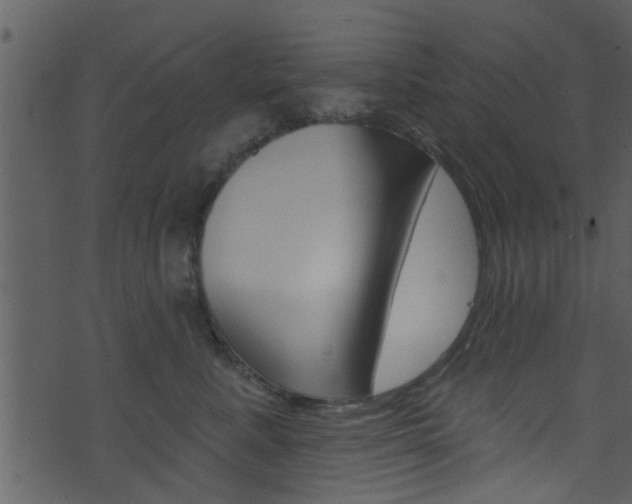 X0000074260619200608250902