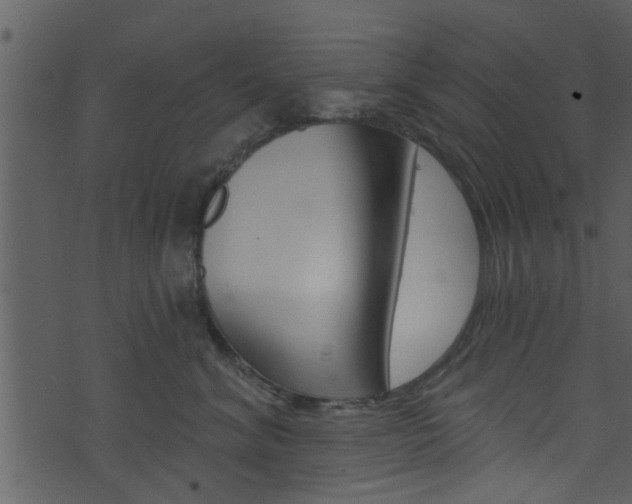 X0000074260620200608250902