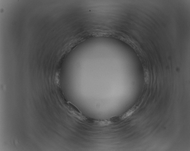 X0000074260621200608250901