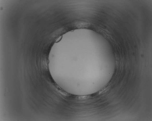 X0000074260622200608250901