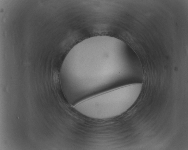 X0000074260623200608250901