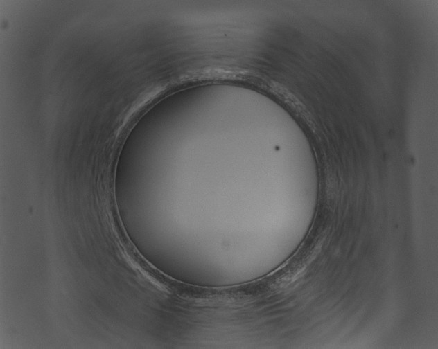 X0000074260625200608250901