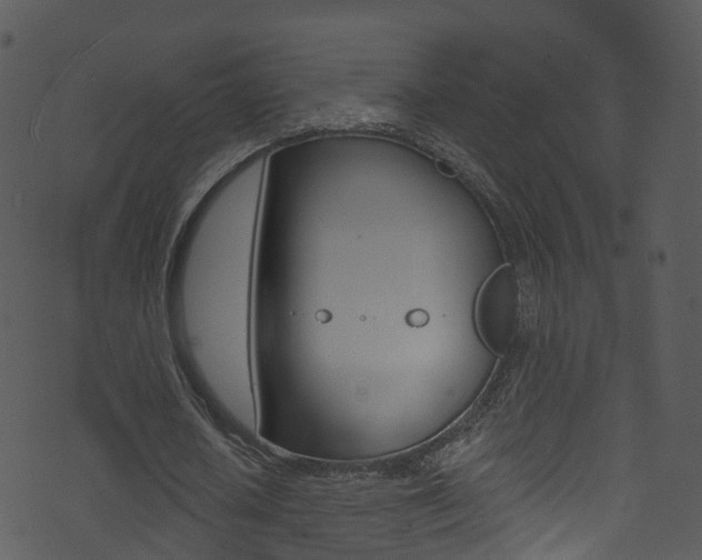 X0000074260626200608250901