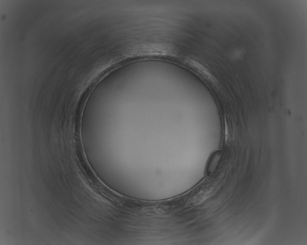 X0000074260627200608250901