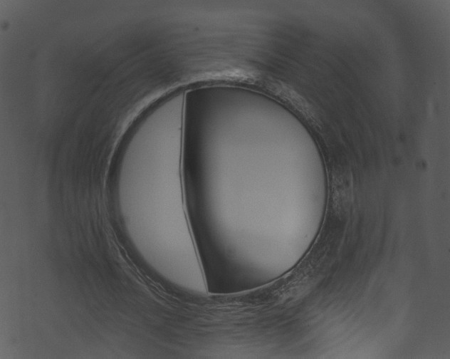 X0000074260628200608250901