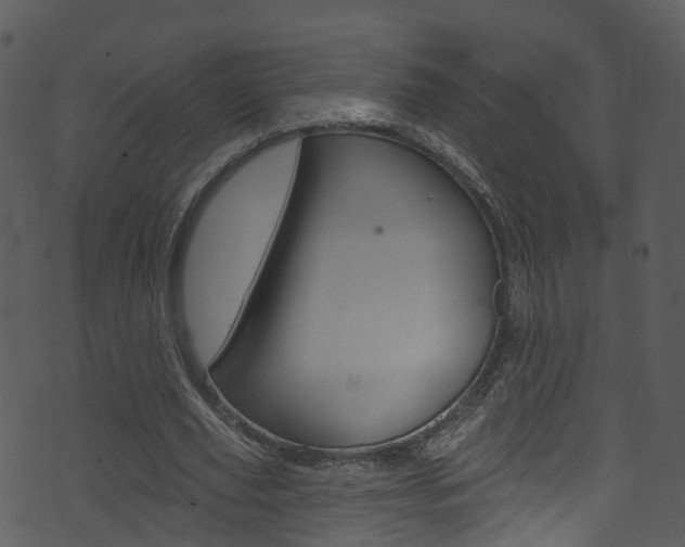 X0000074260629200608250901