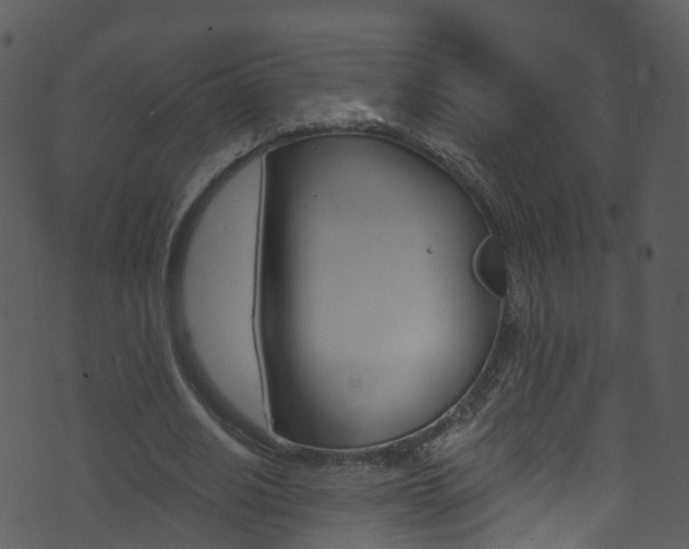 X0000074260630200608250901