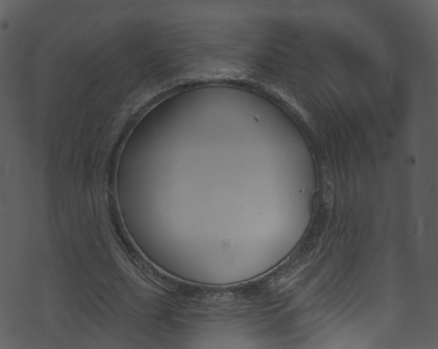 X0000074260631200608250901