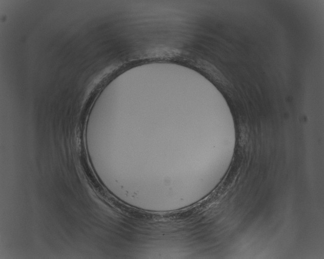 X0000074260632200608250901