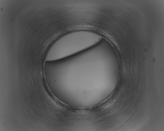 X0000074260633200608250901