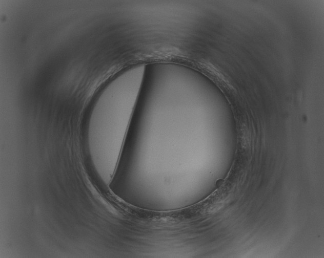 X0000074260634200608250901