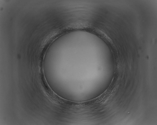 X0000074260635200608250901