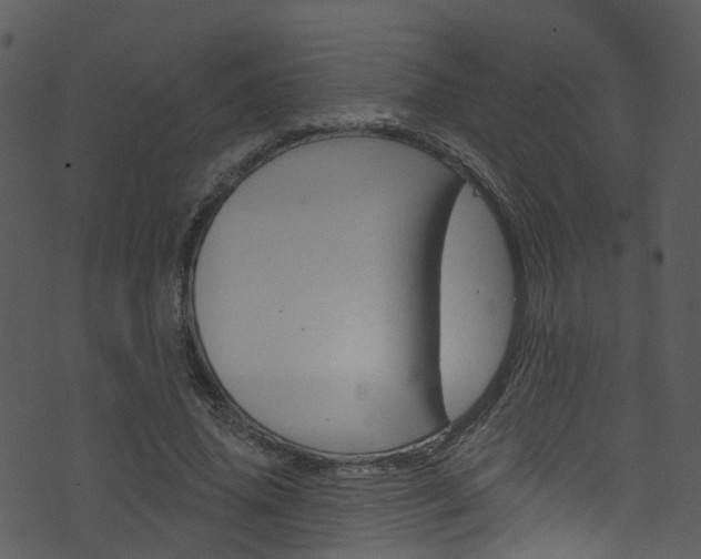 X0000074260636200608250901