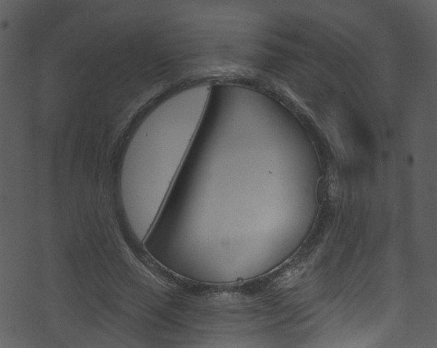 X0000074260637200608250901