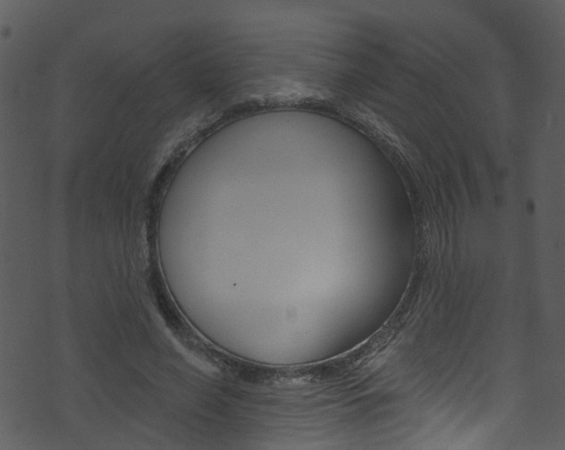 X0000074260638200608250901