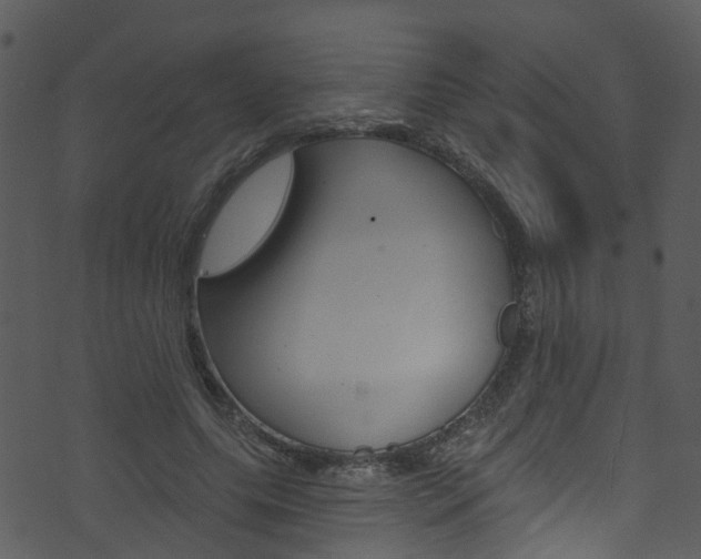 X0000074260639200608250901