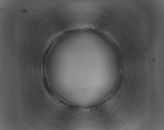 X0000074260640200608250901