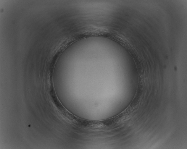 X0000074260642200608250901