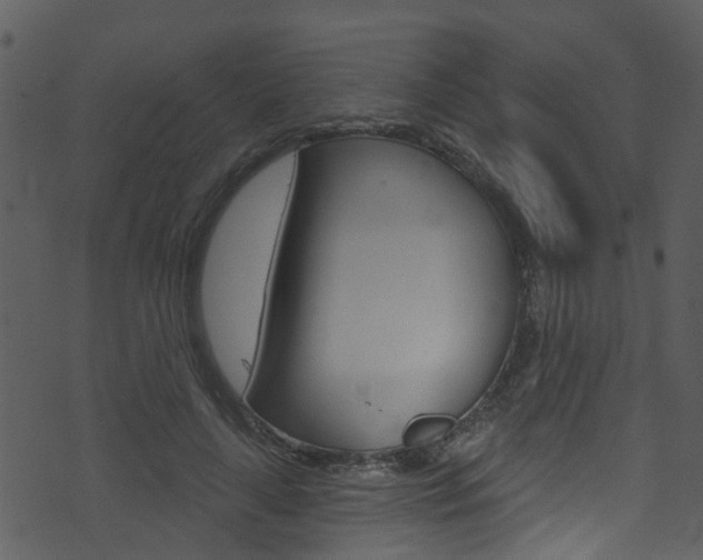 X0000074260643200608250901