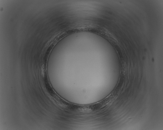 X0000074260644200608250901