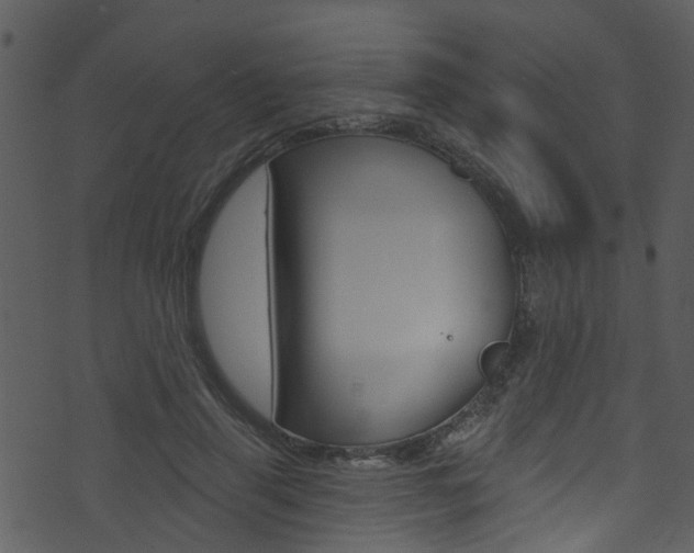 X0000074260645200608250901