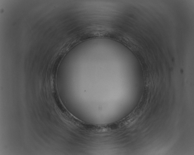 X0000074260646200608250901