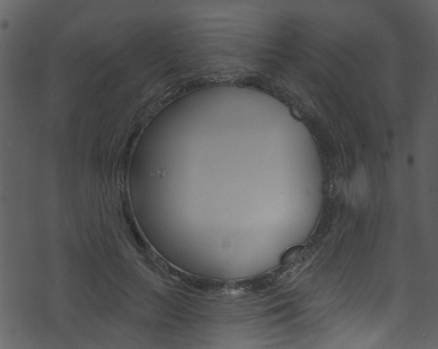 X0000074260647200608250901