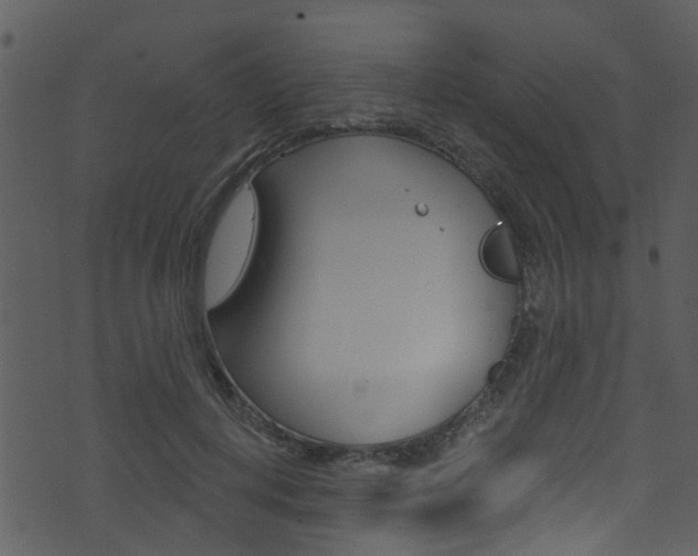 X0000074260648200608250901