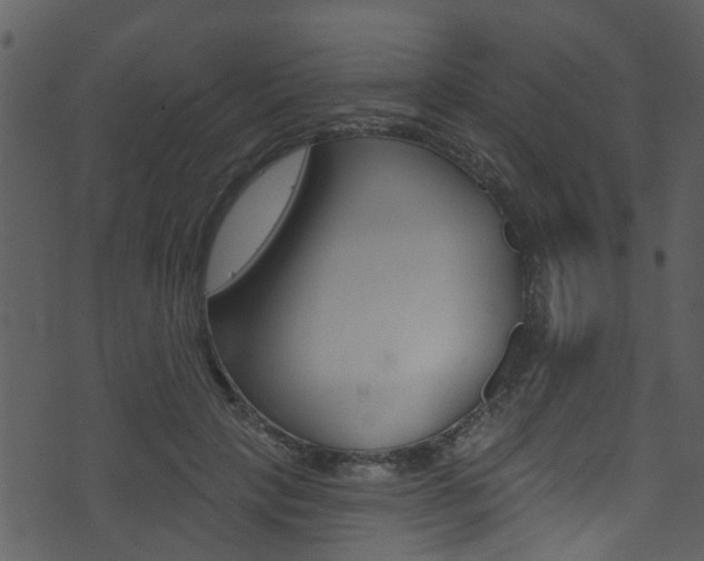 X0000074260649200608250901