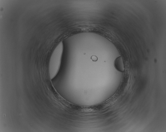 X0000074260650200608250901