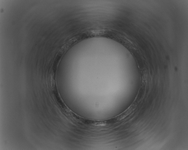 X0000074260651200608250901