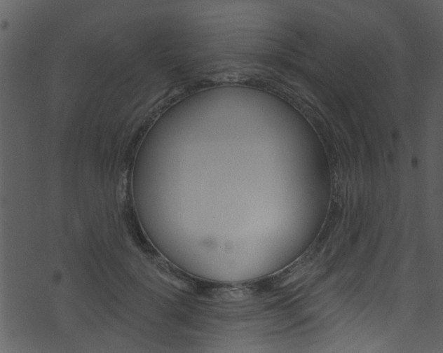 X0000074260652200608250901