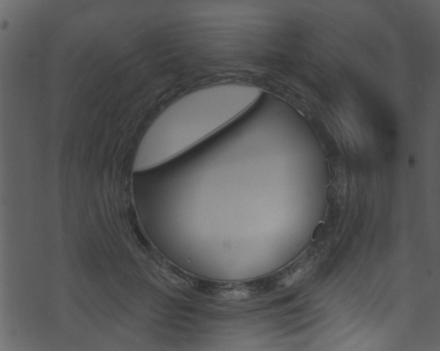 X0000074260653200608250901