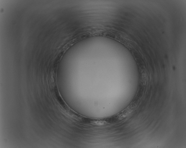 X0000074260654200608250901