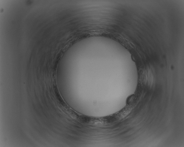 X0000074260655200608250901