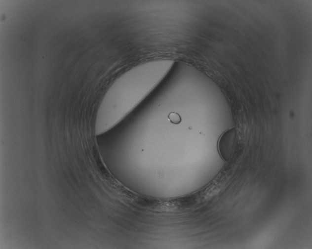 X0000074260656200608250901