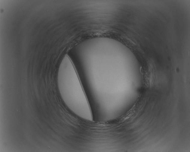 X0000074260657200608250901