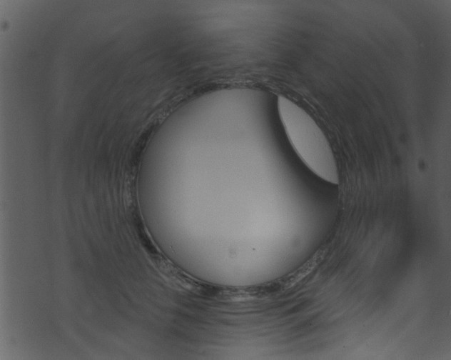 X0000074260658200608250901