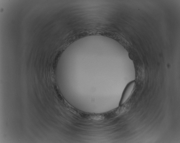 X0000074260659200608250901