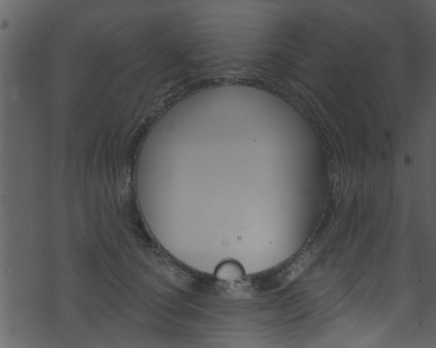 X0000074260660200608250901