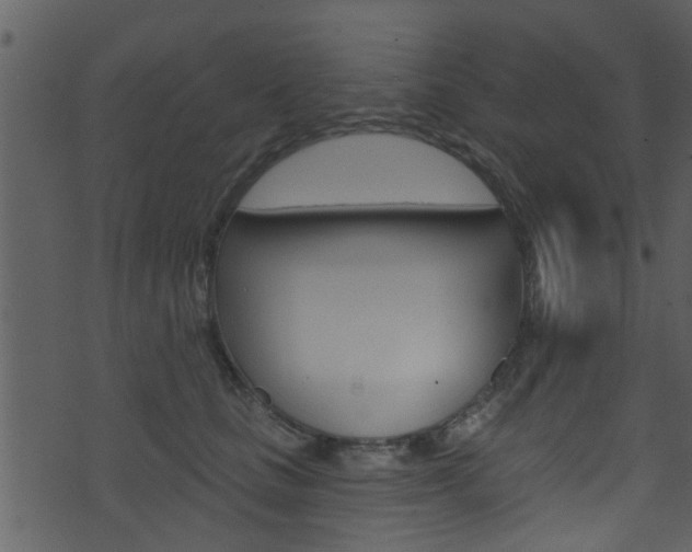 X0000074260661200608250901