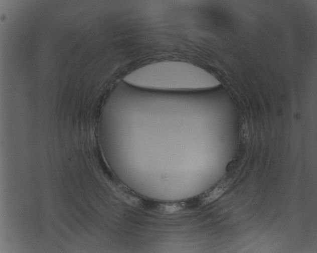 X0000074260662200608250901